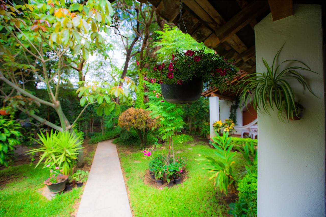 Hostal La Parroquia En Comala Buitenkant foto